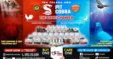 pit cobra return 777|Premium Gamefowl and Racing Pigeon Products .